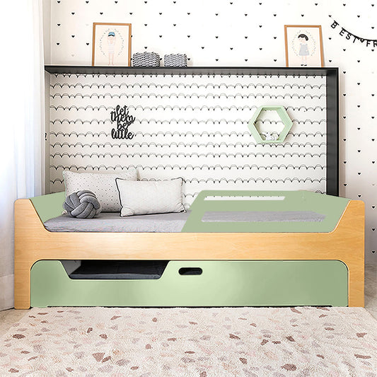Bicama Anis | Nature | 2 Grades