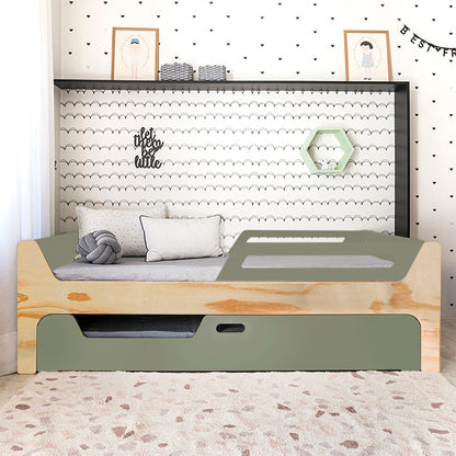 Bicama Anis | Nature | 2 Grades
