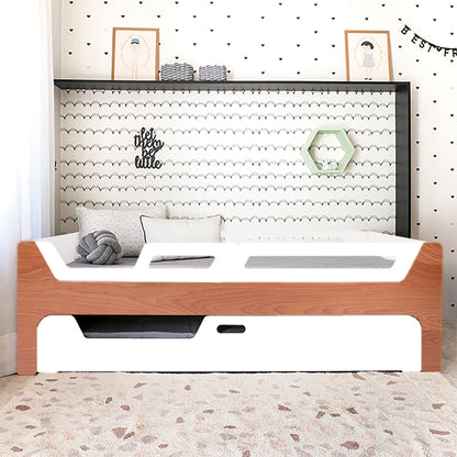 Bicama Anis | Nature | 4 Grades (1 com abertura)