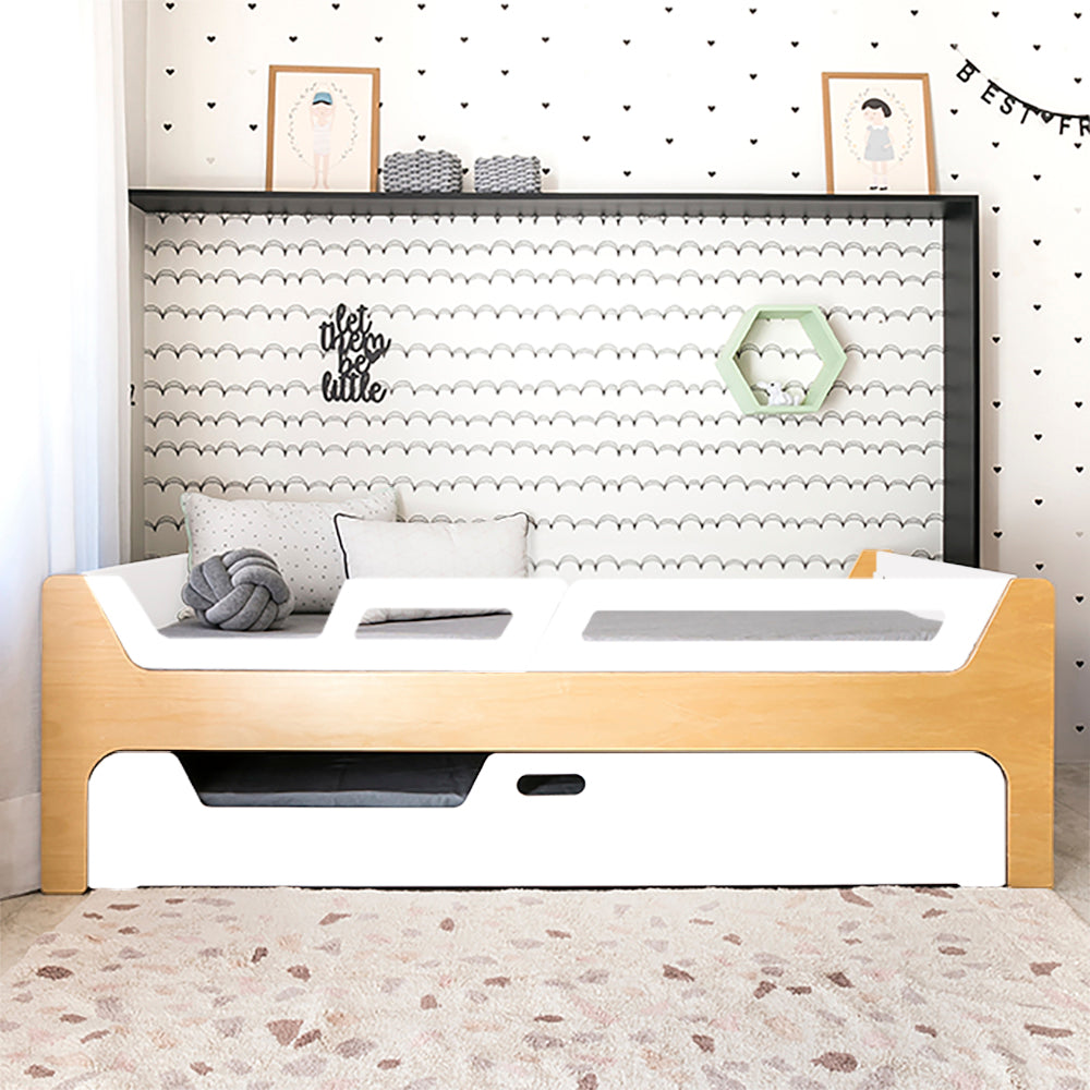 Bicama Anis | Nature | 2 Grades (1 com abertura)