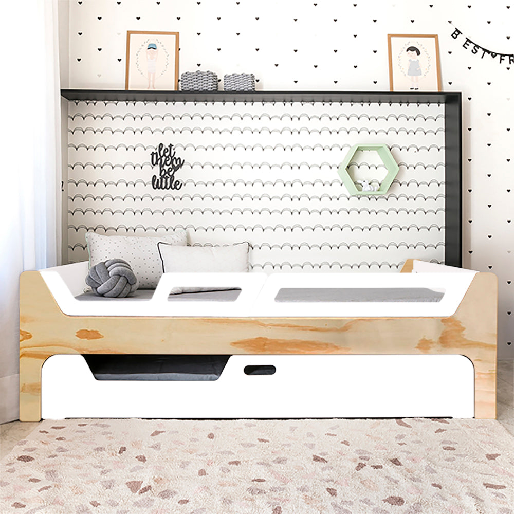 Bicama Anis | Nature | 2 Grades (1 com abertura)