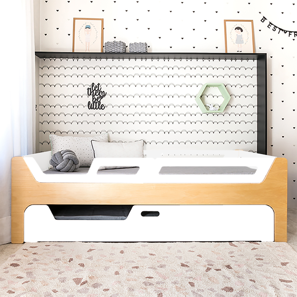 Bicama Anis | Nature | 4 Grades (1 com abertura)