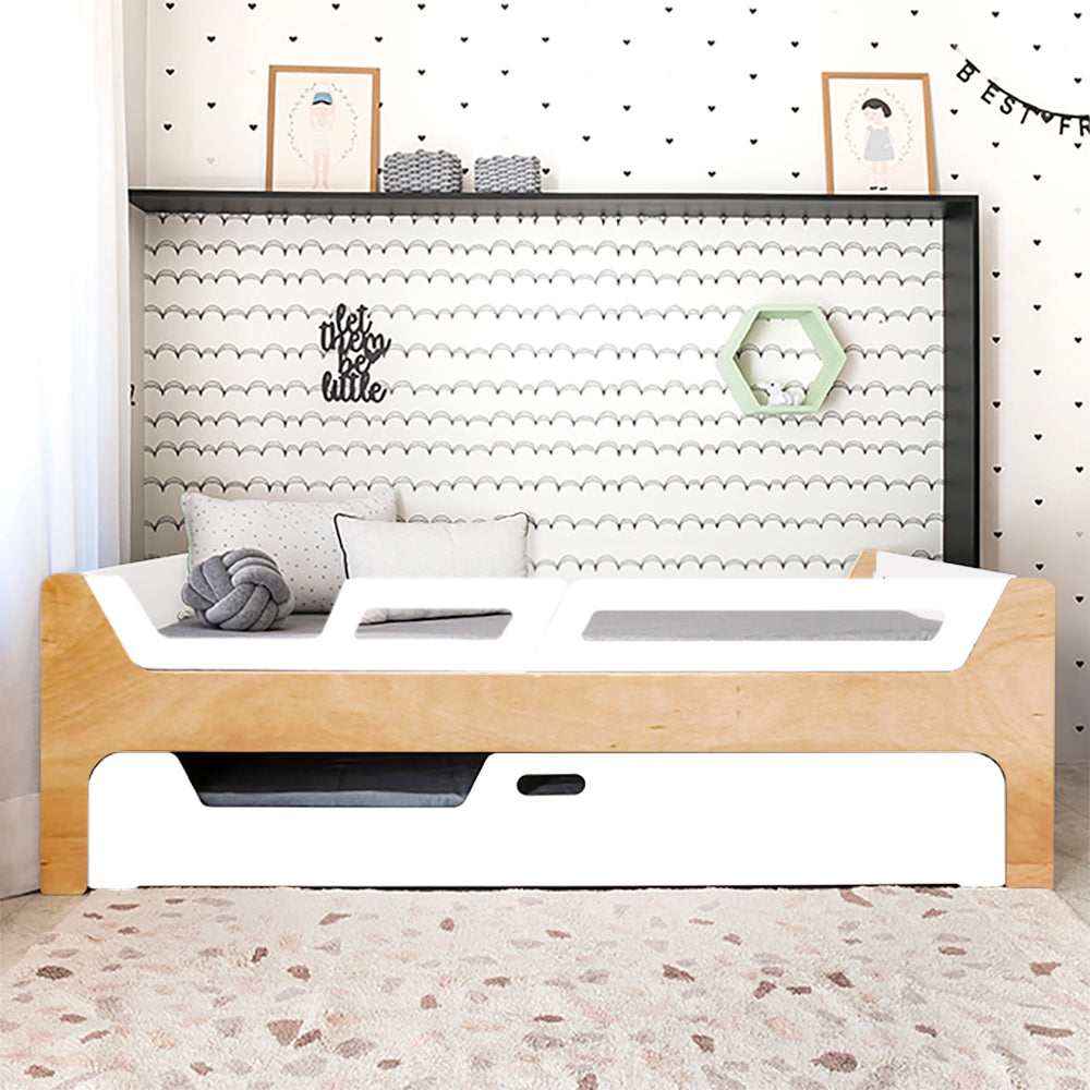 Bicama Anis | Nature | 2 Grades (1 com abertura)