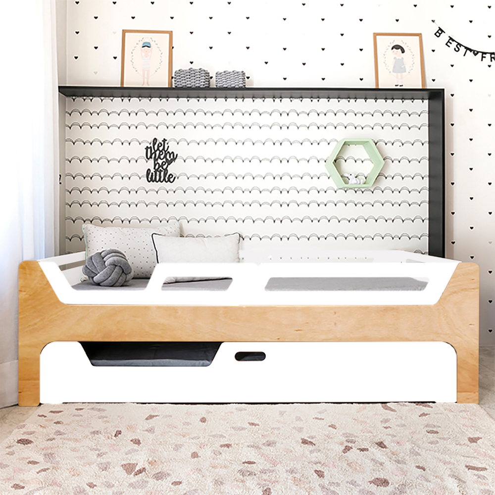 Bicama Anis | Nature | 4 Grades (1 com abertura)