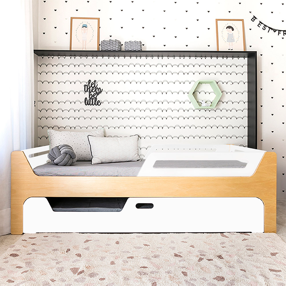 Bicama Anis | Nature | 2 Grades