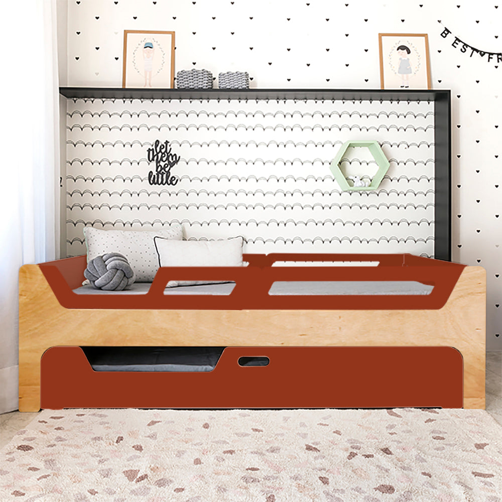 Bicama Anis | Nature | 4 Grades (1 com abertura)