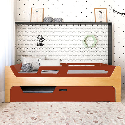 Bicama Anis | Nature | 4 Grades (1 com abertura)