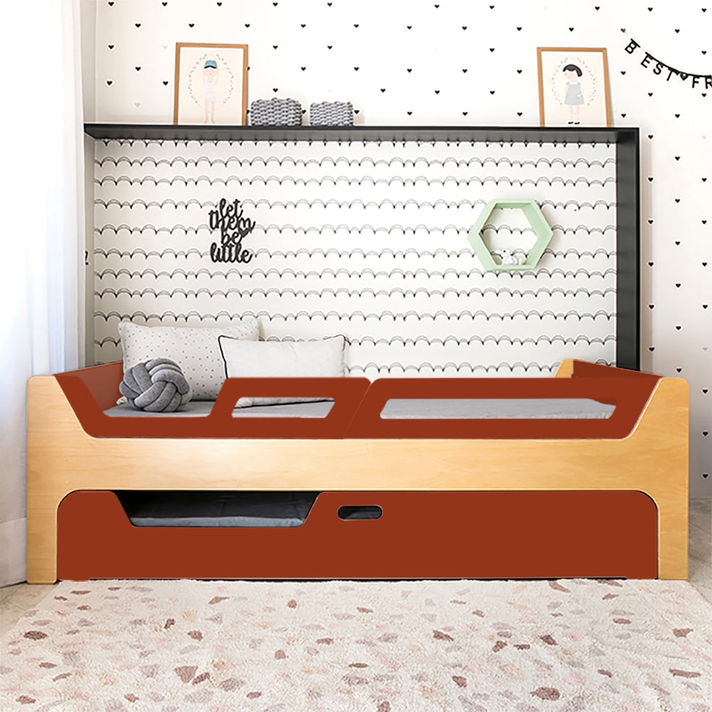 Bicama Anis | Nature | 2 Grades (1 com abertura)