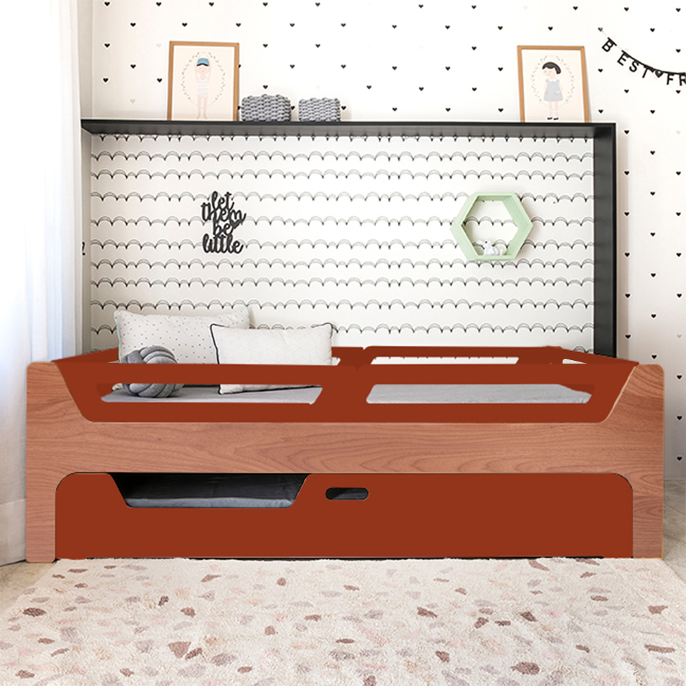 Bicama Anis | Nature | 4 Grades
