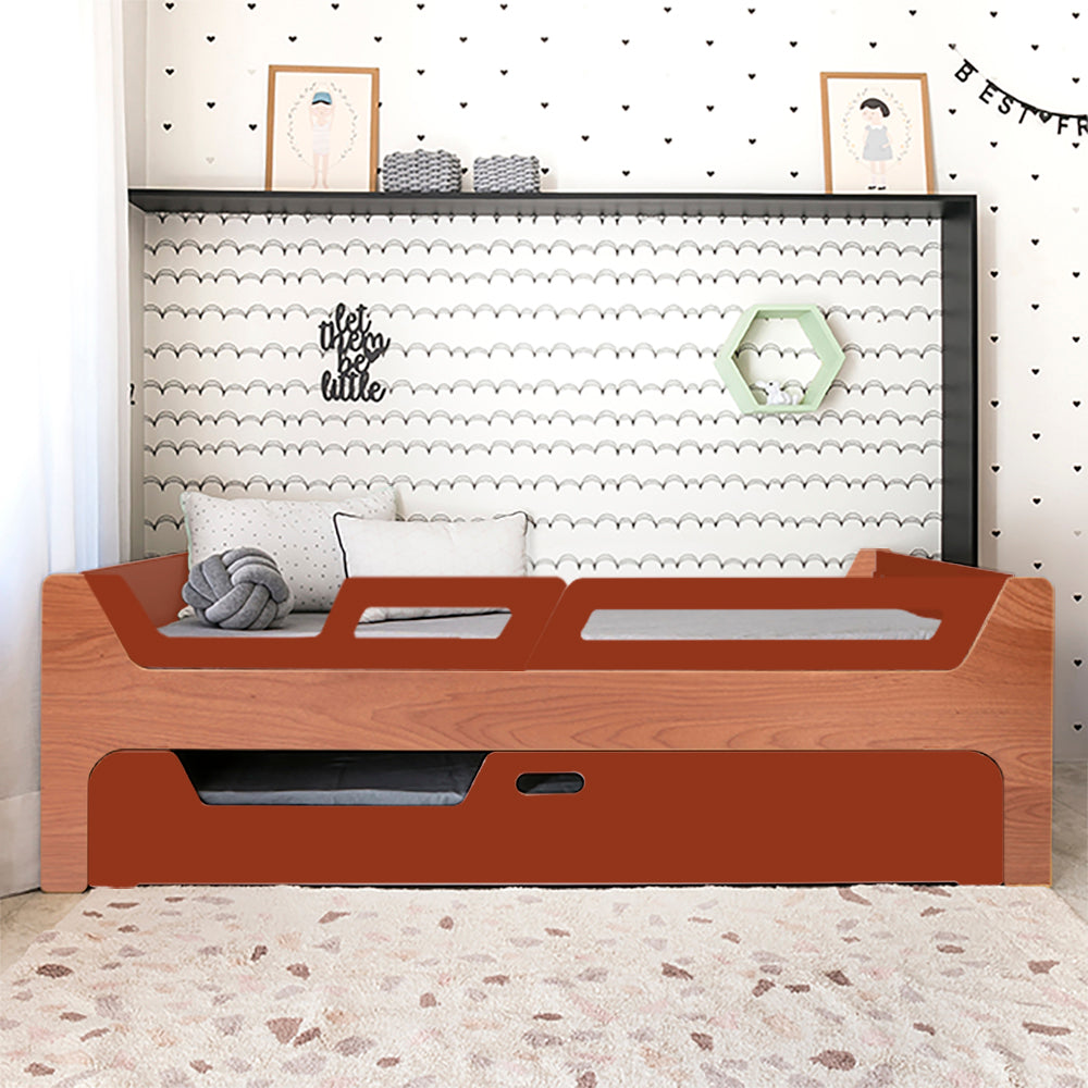 Bicama Anis | Nature | 2 Grades (1 com abertura)