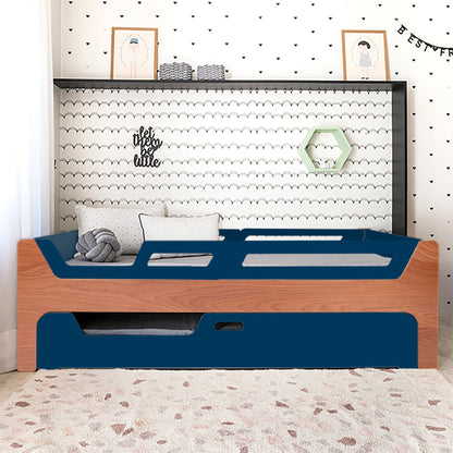 Bicama Anis | Nature | 4 Grades (1 com abertura)