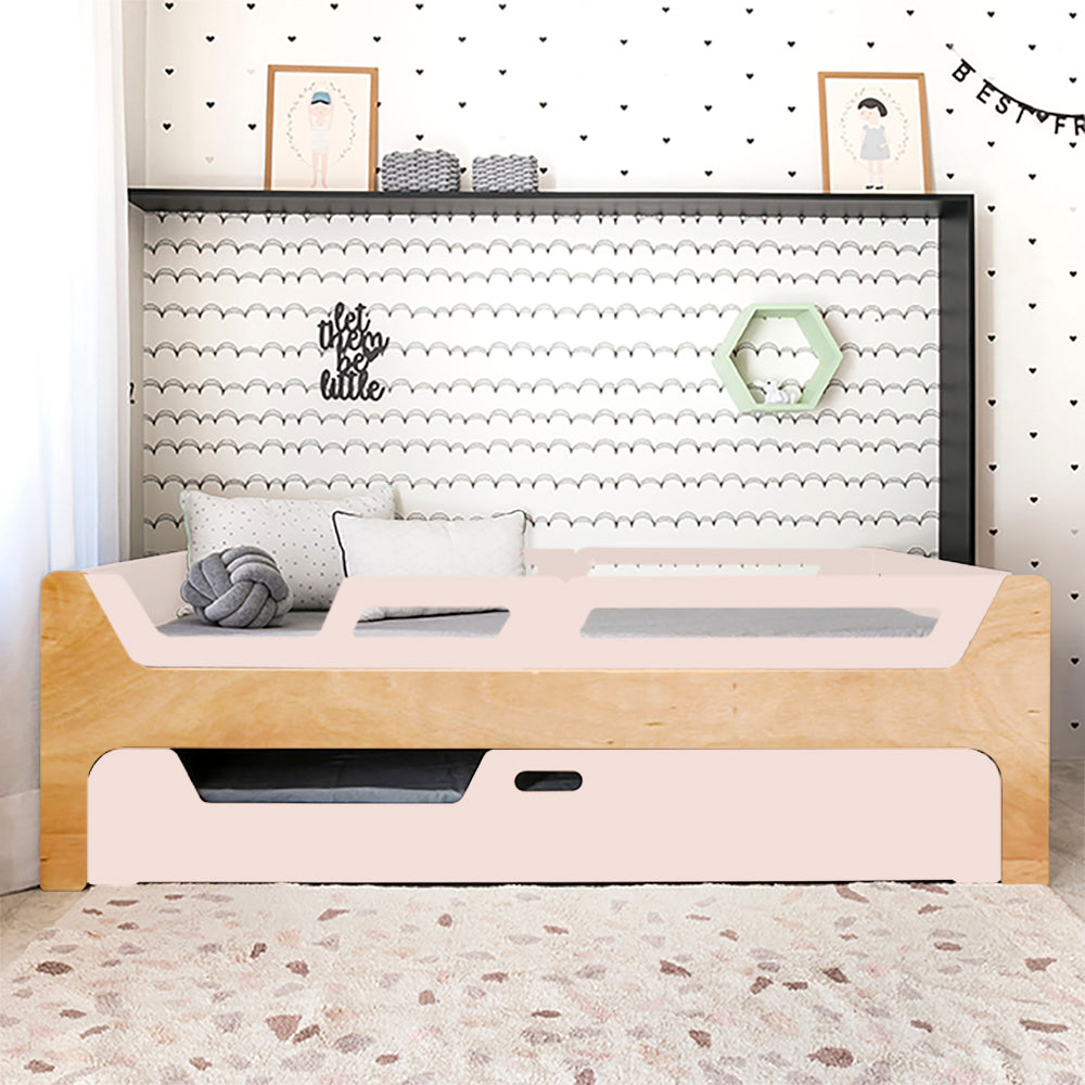 Bicama Anis | Nature | 4 Grades (1 com abertura)