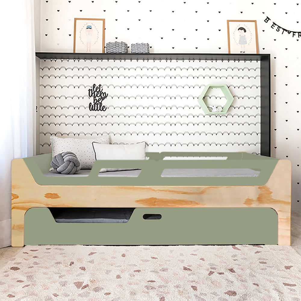 Bicama Anis | Nature | 4 Grades (1 com abertura)