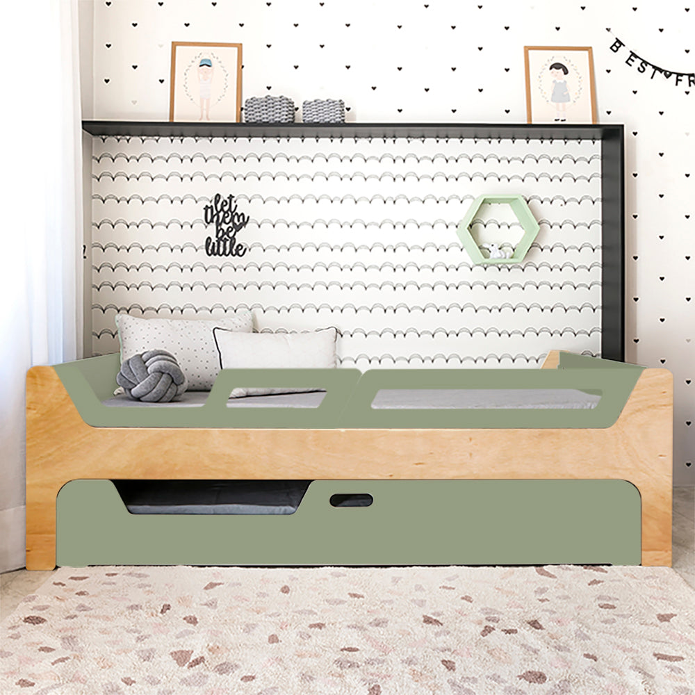 Bicama Anis | Nature | 2 Grades (1 com abertura)