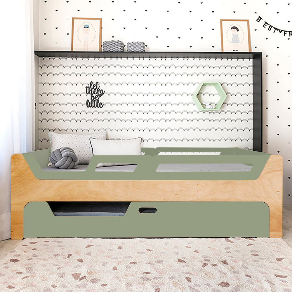 Bicama Anis | Nature | 4 Grades (1 com abertura)