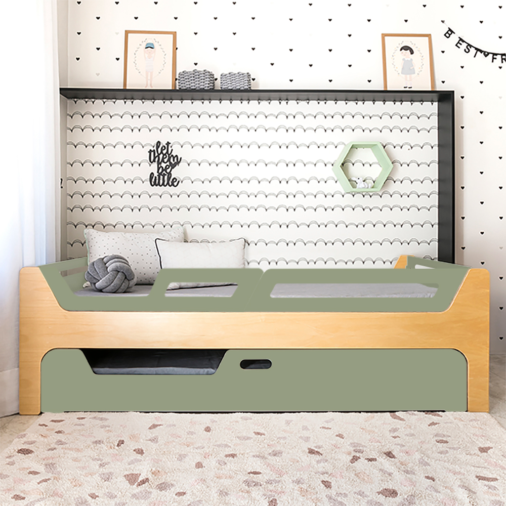 Bicama Anis | Nature | 2 Grades (1 com abertura)