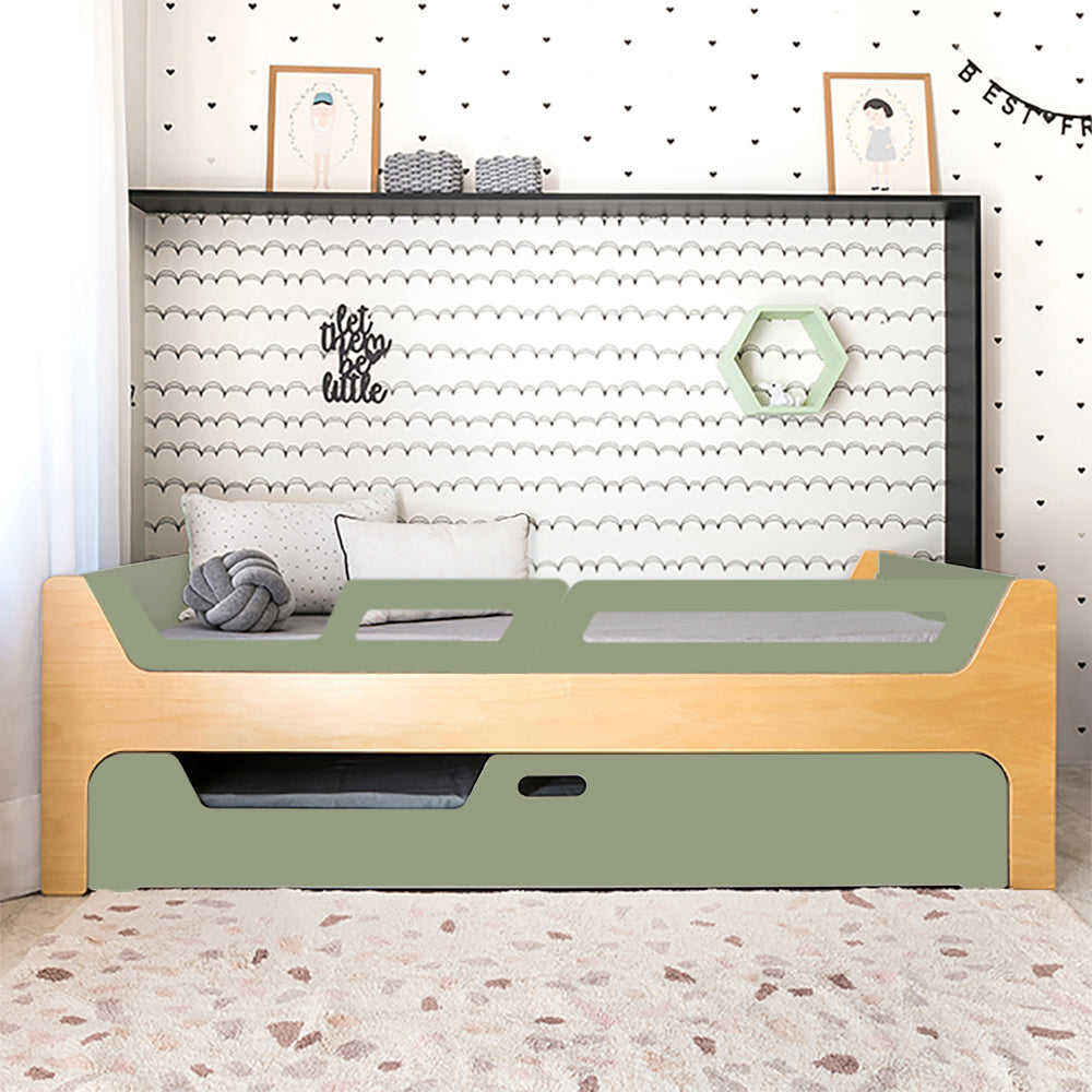 Bicama Anis | Nature | 2 Grades (1 com abertura)