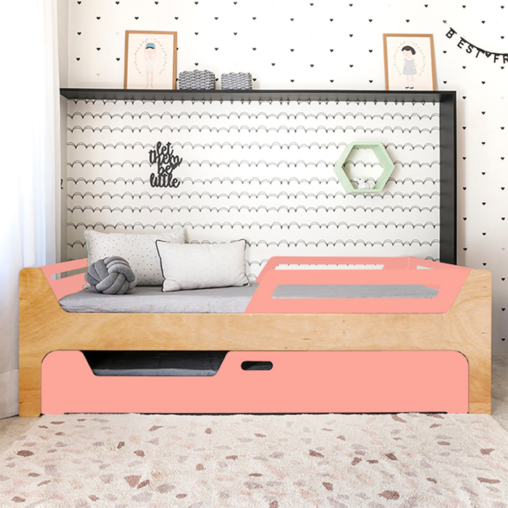 Bicama Anis | Nature | 2 Grades