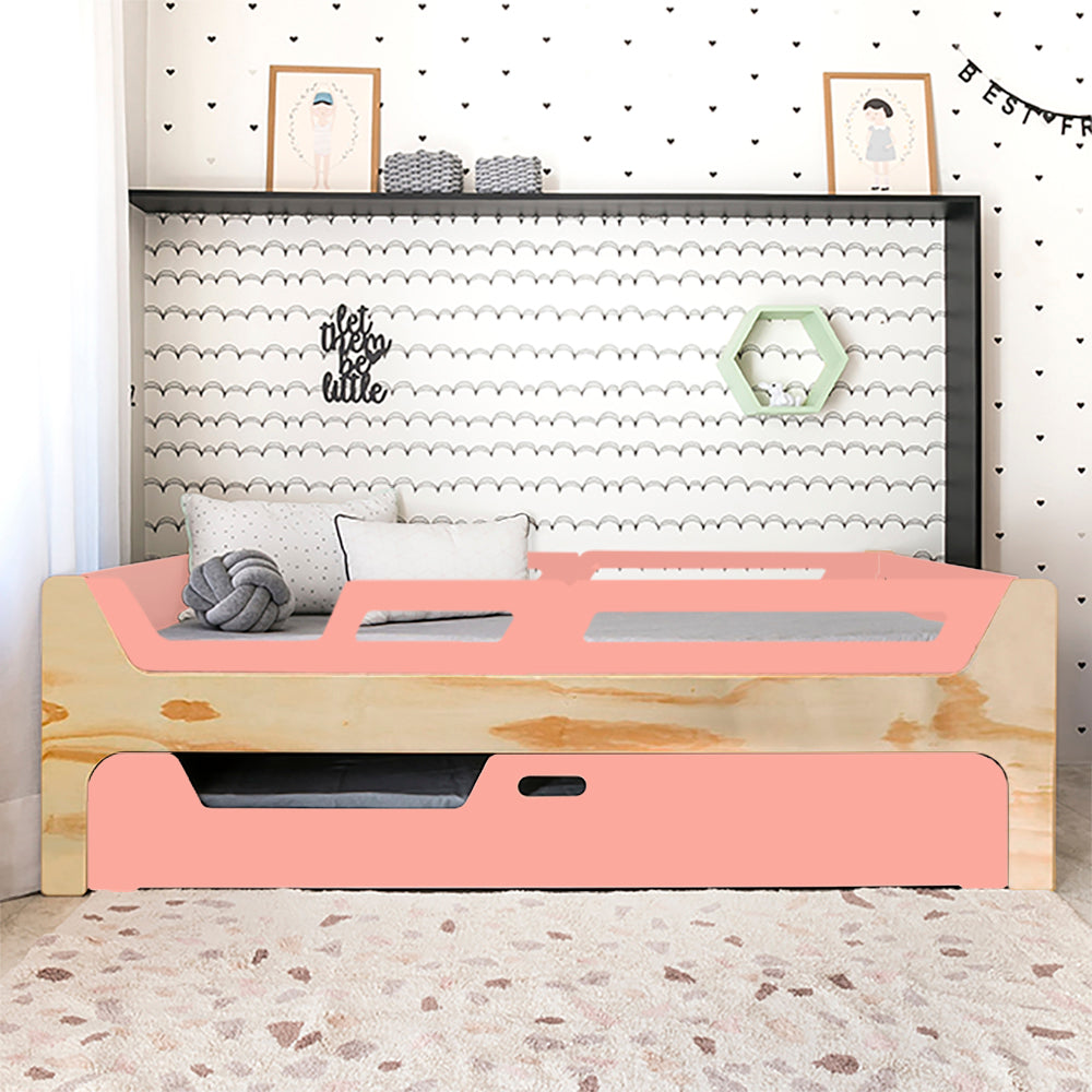 Bicama Anis | Nature | 4 Grades (1 com abertura)