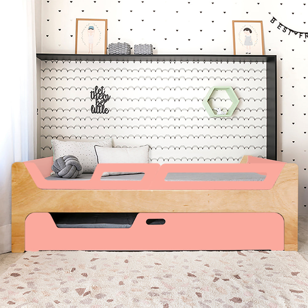 Bicama Anis | Nature | 2 Grades (1 com abertura)