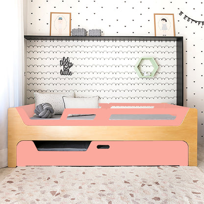 Bicama Anis | Nature | 4 Grades (1 com abertura)