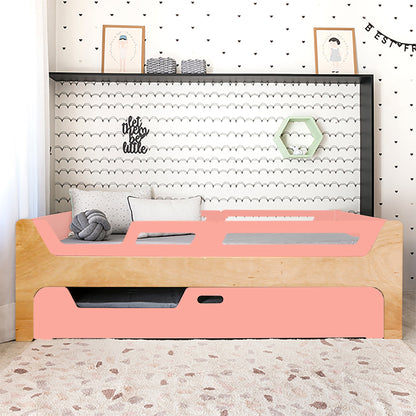 Bicama Anis | Nature | 4 Grades (1 com abertura)