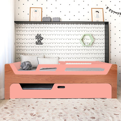 Bicama Anis | Nature | 4 Grades (1 com abertura)