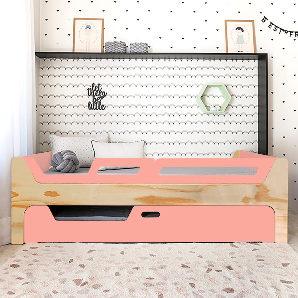 Bicama Anis | Nature | 2 Grades (1 com abertura)