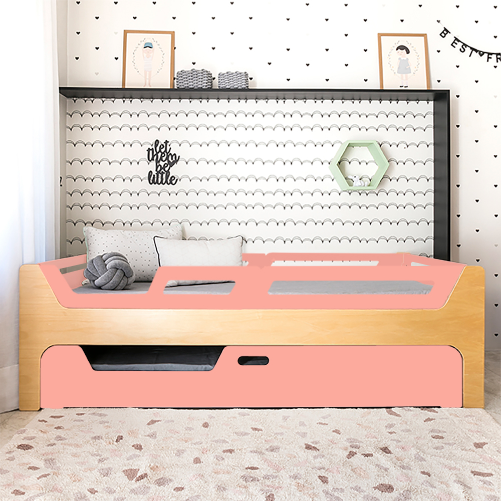 Bicama Anis | Nature | 4 Grades (1 com abertura)