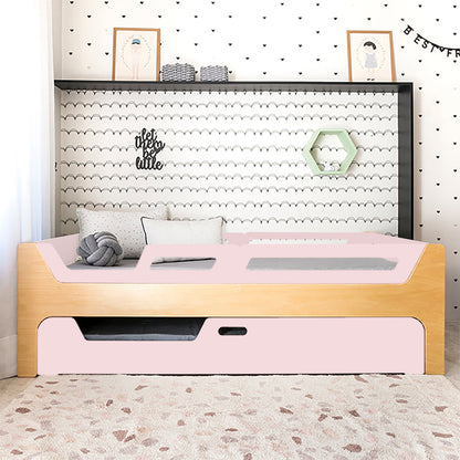 Bicama Anis | Nature | 4 Grades (1 com abertura)